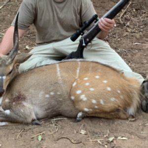 Bushbuck Hunt Zimbabwe | AfricaHunting.com