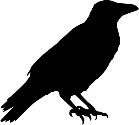 Crow Vector Silhouette Free Stock Photo - Public Domain Pictures