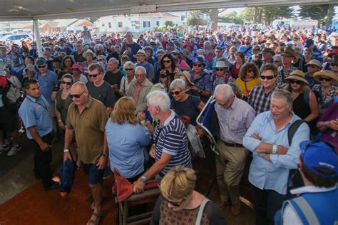 Port Fairy Folk Festival enjoying strong tickets sales | The Standard ...