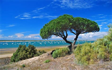 Top 10 Beaches in Huelva Spain - Helios7.com