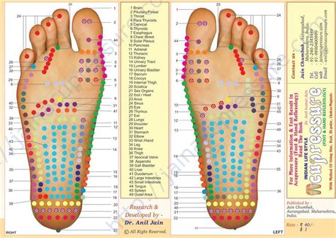 Pin by Jenny Jazz on Hair | Reflexology, Reflexology chart, Acupuncture points chart