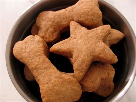 Andrea Arch: Homemade (Healthy) Dog Treat Recipes