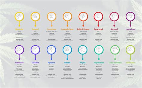 Terpenes Chart