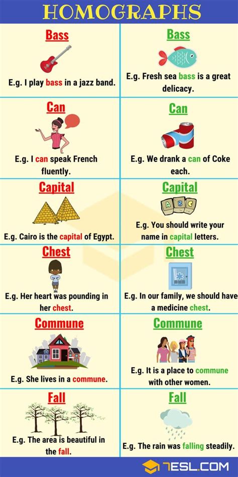 100+ Common Examples of Homographs in English • 7ESL | Homographs, English vocabulary, Learn ...