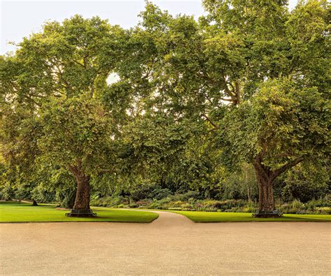 Tour the Buckingham Palace gardens: and discover its secrets | Homes ...