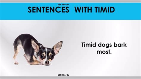 Timid word - Improve English - Timid meaning and 5 sentences - GRE ...