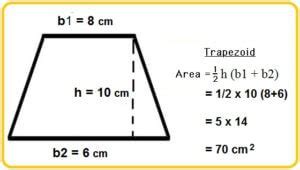 Calculating pond volume of an irregular shape | Garden ponds