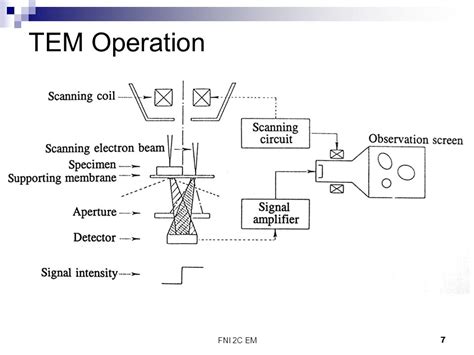 FNI 2C EM 1 Transmission Electron Microscope. FNI 2C EM2 TEM Image of E. Coli. - ppt carregar