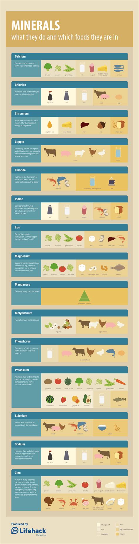 Minerals in Food Explained