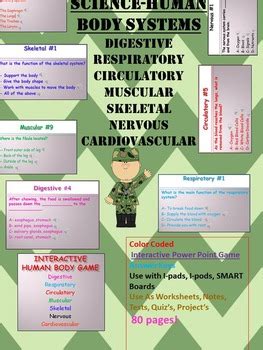 Human Body Systems PowerPoint - All Seven Body Systems | TpT