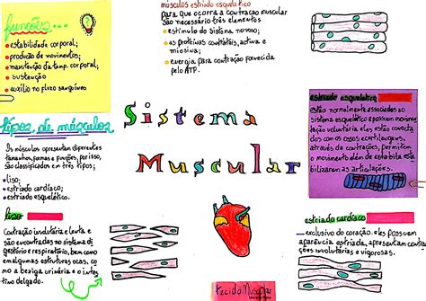 Mapa Del Sistema Muscular Ahora En Reading Books Mental Map Maps | Porn ...