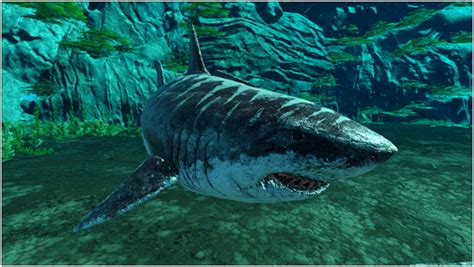 Ark Megalodon Guide (Taming, Food, Saddle, Breeding, Drops & Location) - ProGameTalk