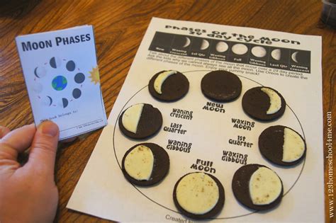 Moon Phases Printable - Printable Word Searches