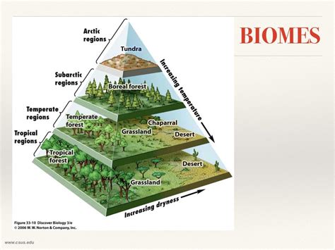 BIODIVERSITY: definition, levels and threats