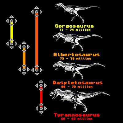 The Tyrannosaur Chronicles: albertosaurus and tyrrell