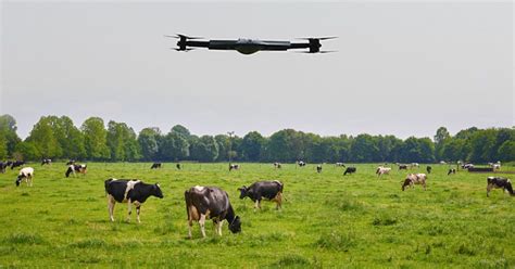 5 Best Drone Features for Tracking Cattle