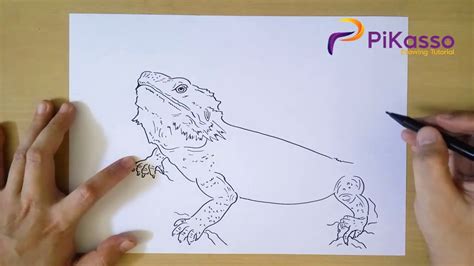 How to Draw Bearded Dragon step by step - YouTube