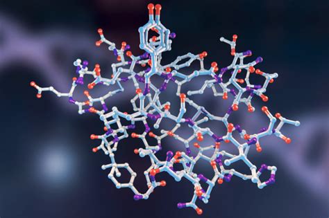 Insulin structure signaling and stability – Artofit