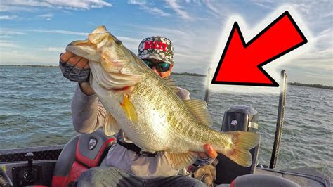 3 FISHING Lures that CATCH 10 pound BASS (I CAN PROVE IT!!!) – Bass Manager | The Best Bass ...