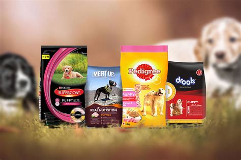 The Most Nutritious Food For Puppies | HotDeals360