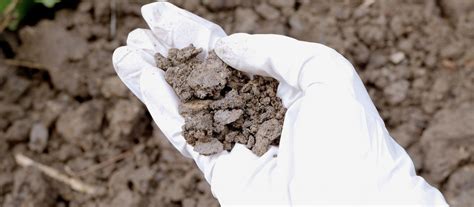 Contaminated Soil Treatment Methods | Enva