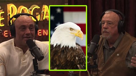 Joe Rogan - How Will Harris stopped BALD EAGLES from KILLING his Chickens - YouTube