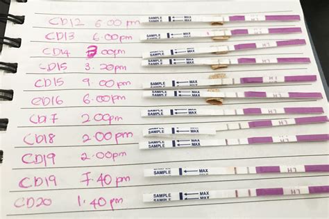 What Does a Positive Ovulation Test Look Like? See Examples