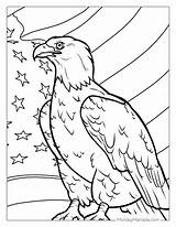 Coloring Pages Bald Eagle And Us Flag sketch template