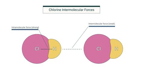 Intermolecular Forces in Covalent molecules