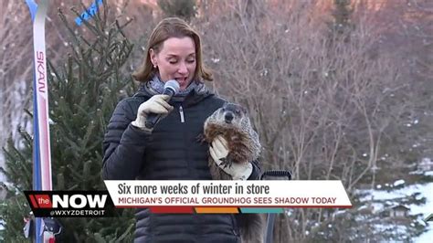 Woody, Michigan's groundhog, predicts six more weeks of winter - WXYZ.com