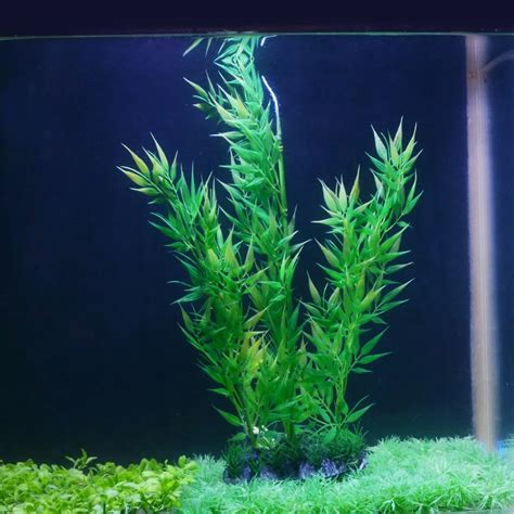 14.5" Plastic Artificial Aquarium Plants Fish Tank Aquatic Bamboo ...