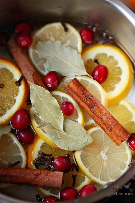 Homemade Christmas Potpourri Simmer Pot Recipe Natural Air Freshener