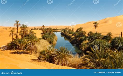 Umm Al-Ma Lake - Desert Oasis - Sahara, Libya Stock Image - Image of ...