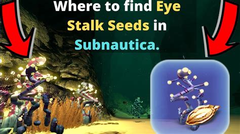 Where to find Eye Stalk Seeds in Subnautica. - YouTube