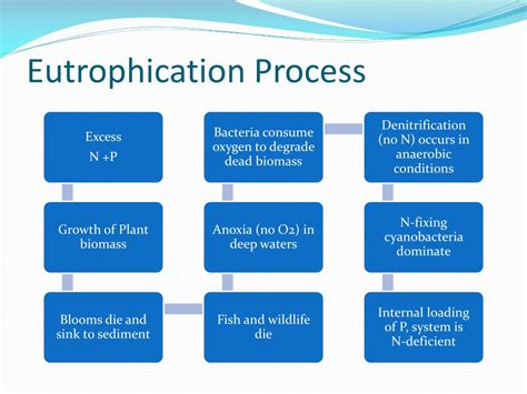 PPT - Eutrophication in Water bodies PowerPoint Presentation, free ...