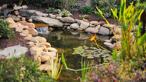 How to Build a Pond in Your Yard (It's Not as Easy as Just Digging a Hole) | Fox News