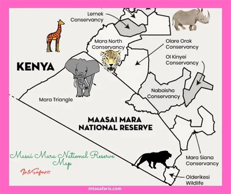 17 FAQS About Masai Mara you should know before Safari.