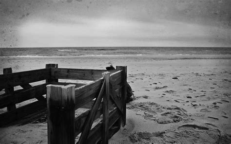 Black and White Beach Wallpaper - WallpaperSafari