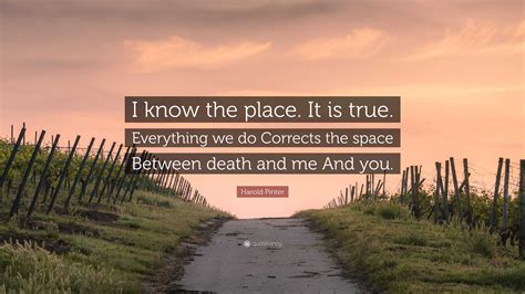 Harold Pinter Quote: “I know the place. It is true. Everything we do Corrects the space Between ...