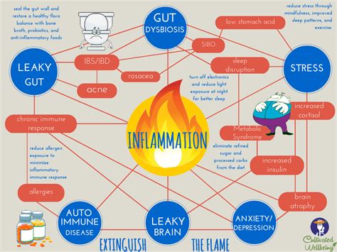 Chronic Inflammation – Miranda Naturopathic Clinic