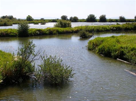 Fraser River Delta 07/08 | August 2007 - We saw the George C… | Flickr