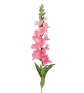 Pink Snapdragon transparent PNG - StickPNG