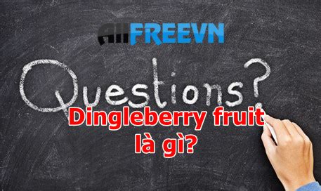 Dingleberry fruit là gì? Đúng nhất không đọc tiếc cả đời - Allfreevn