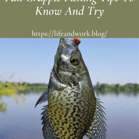 Crappie Fishing Tips