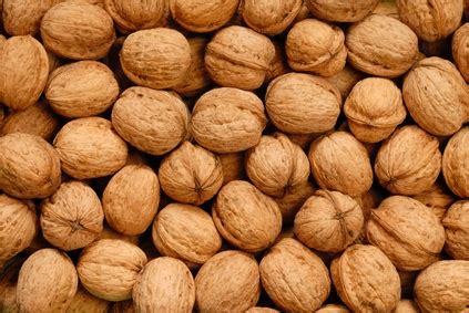 Walnuts bulk In Shell (per1kg) - Max Health Store