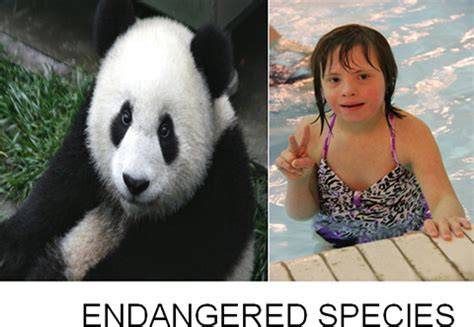 Save the Pandas and Down Syndrome