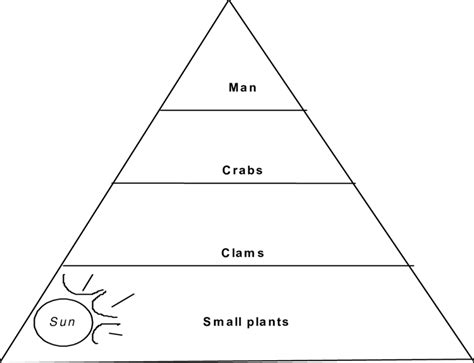 Food Pyramid. A sample food pyramid, as used in the example below. | Download Scientific Diagram