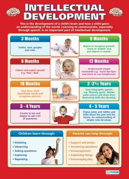 Intellectual Development Poster | Child development, Child development ...