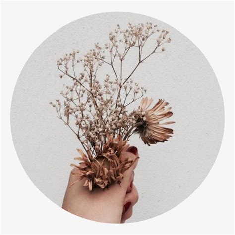 Tumblr Aesthetic Brown Flower Flowers Png Brown Tumblr - Aesthetic Brown - Free Transparent PNG ...