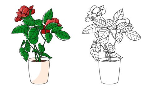 Premium Vector | Rose flower in pot line coloring plant hand draw vector